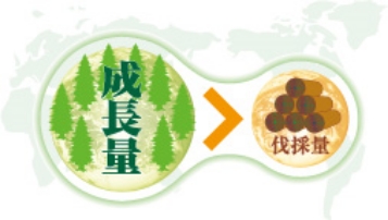 成長量＞伐採量