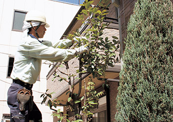 ガーデニング事業