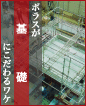 ポラスが基礎にこだわるポイントのページへ